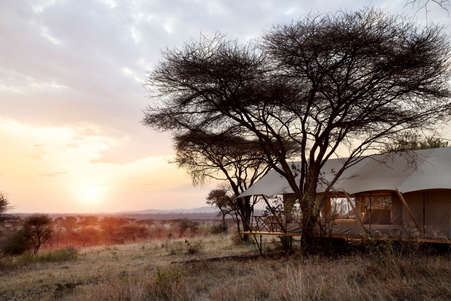 Laba Out of Africa exploerer Serengeti