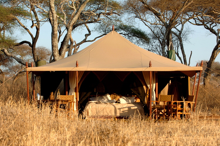 Serengeti Safaricamp 
