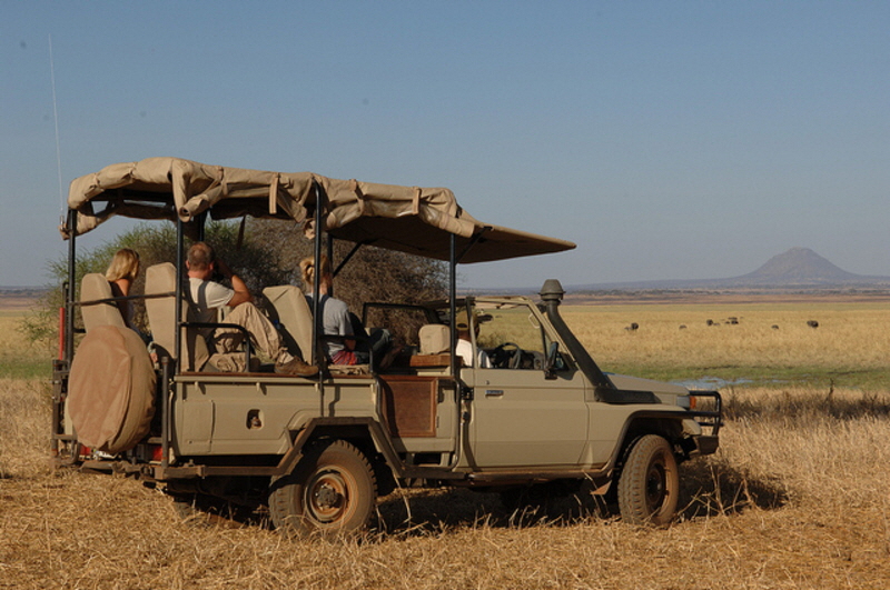 Kuro Tarangire Tansania Safari Fahrzeug 