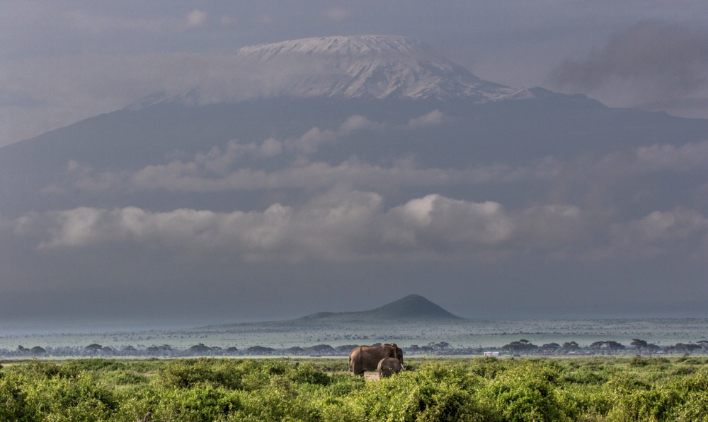 Kilimanscharo im Mrz 2018 