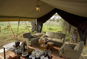 Honeymoon- Safari in der Serengeti