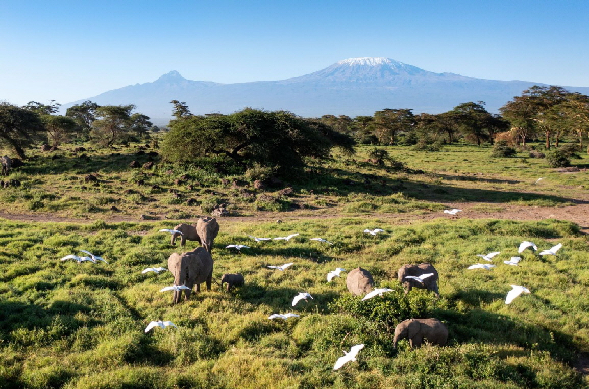 Angama Amboseli Lodge 