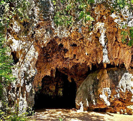 anjajavy-sakalava-hhle