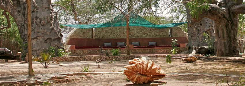 Im Garten vom Baobab House