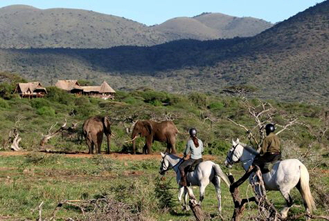 campi-ya-kanzi