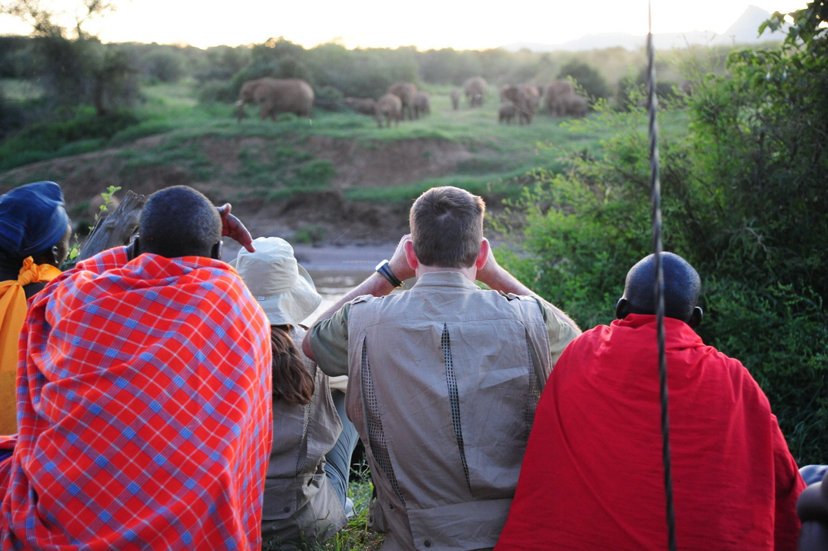 Elefantenbeobachtung zu Fuss