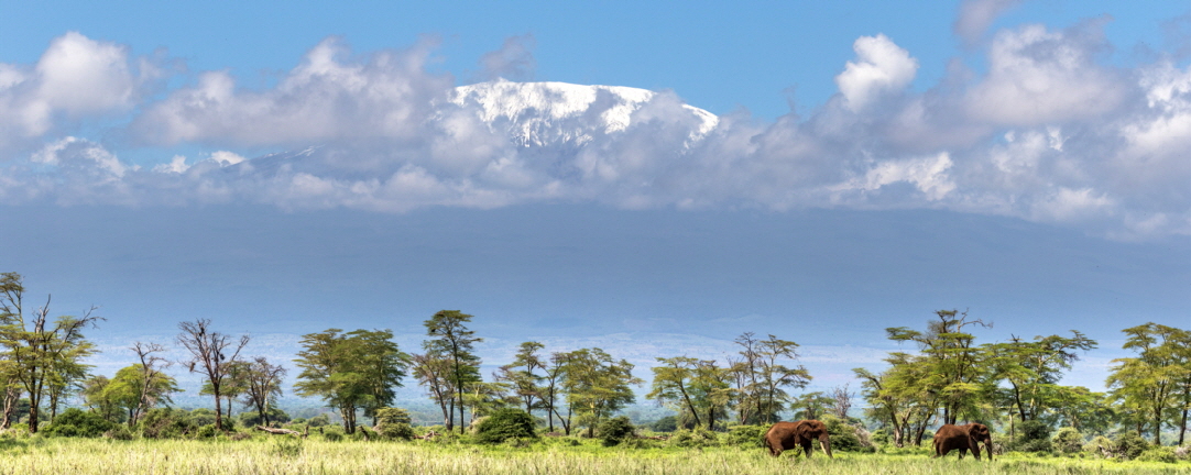 Kilimanjaro von Amboseli Kenia