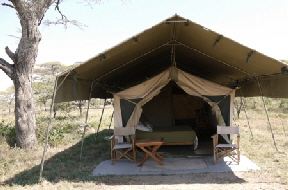 Safarizelt Serengeti Ndutu 