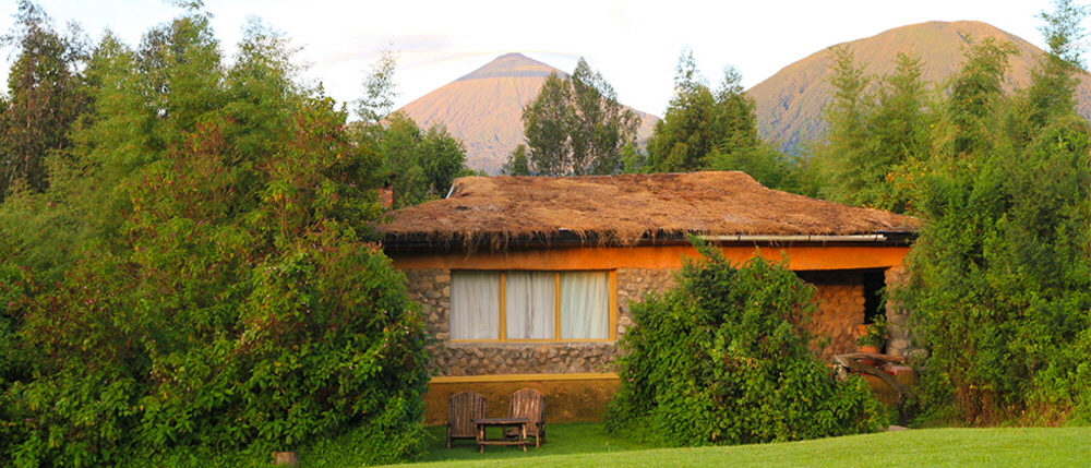 Mountain Gorilla Lodge
