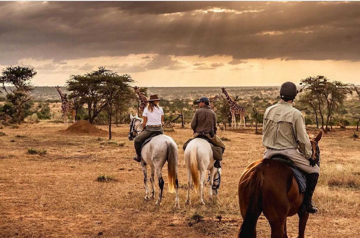 Sosan Reitsafari 
