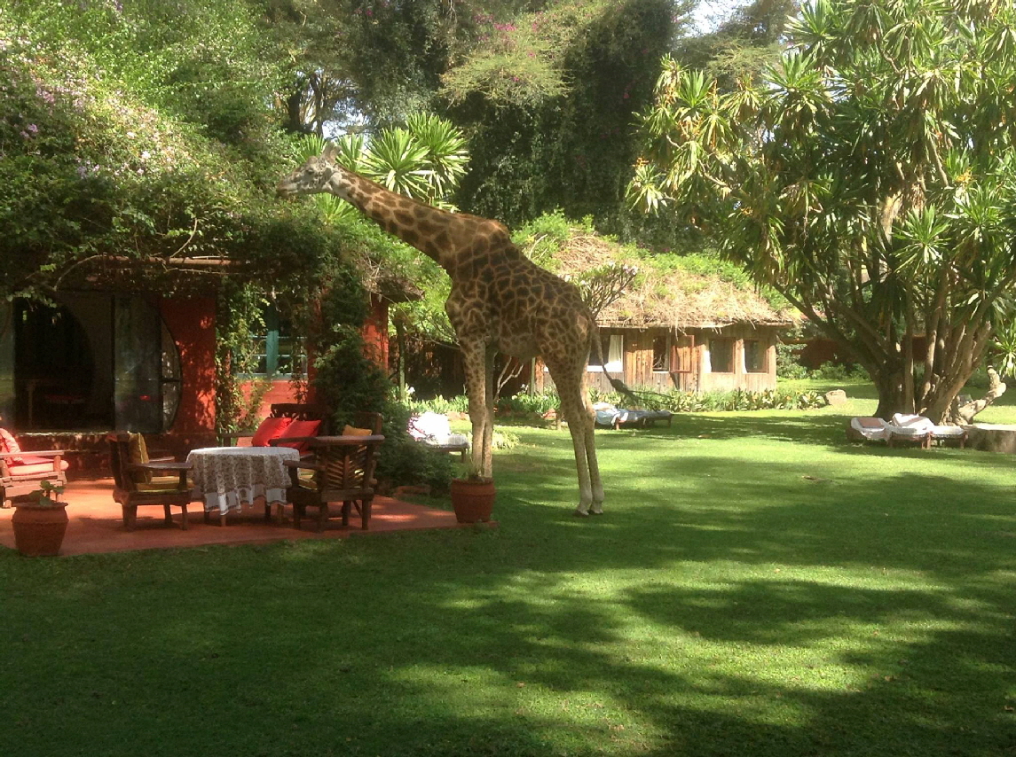 Oleraihouse im Garten