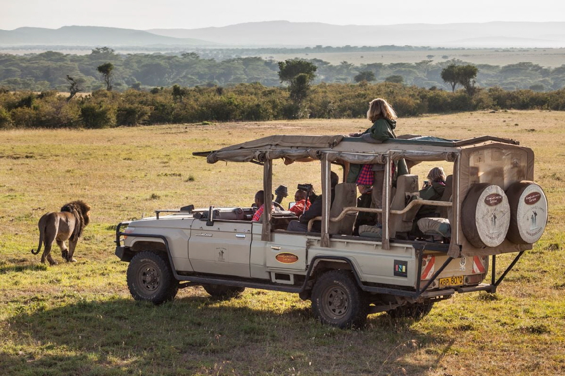Porini Lion Camp Masai Mara Kenia 