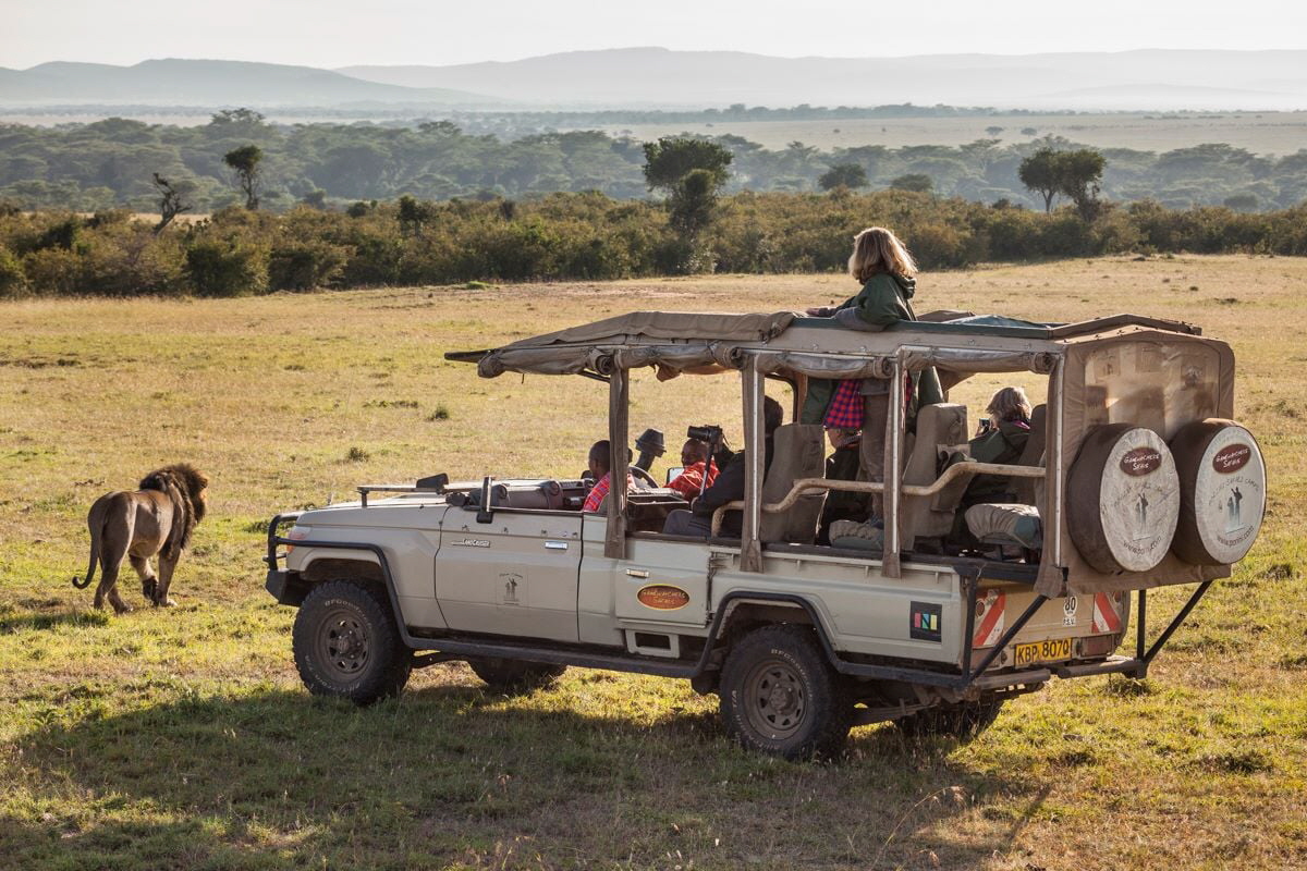 Porini Safarifahrzeug