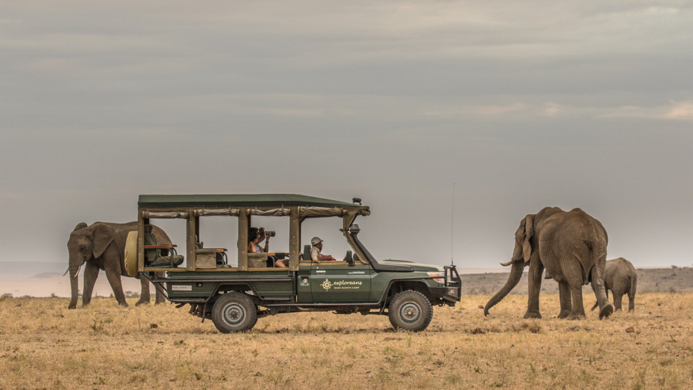 Elephant Pepper Camp Masai Mara