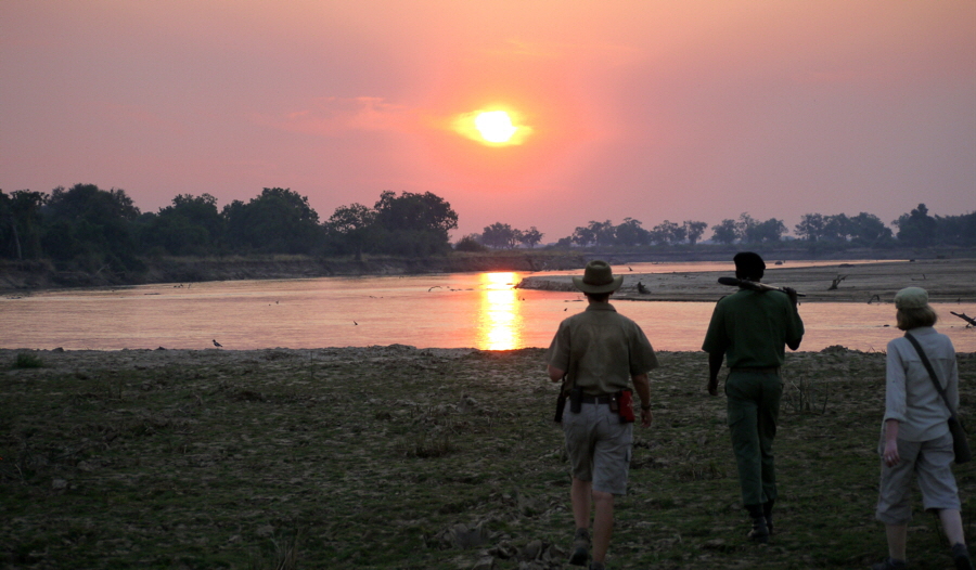Zambia Safari zu Fuss