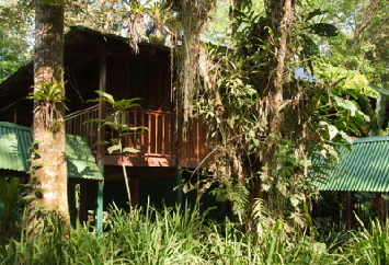 Selva verde lodge Costa Rica
