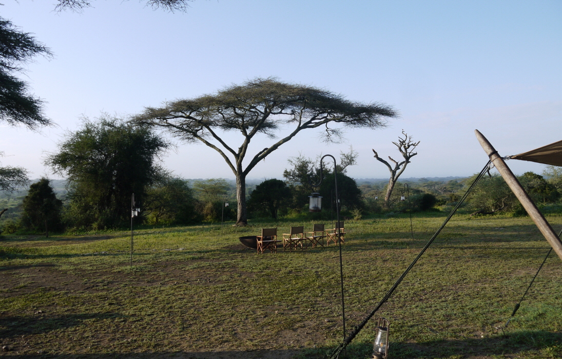 Laba Migration Camp Serengeti 