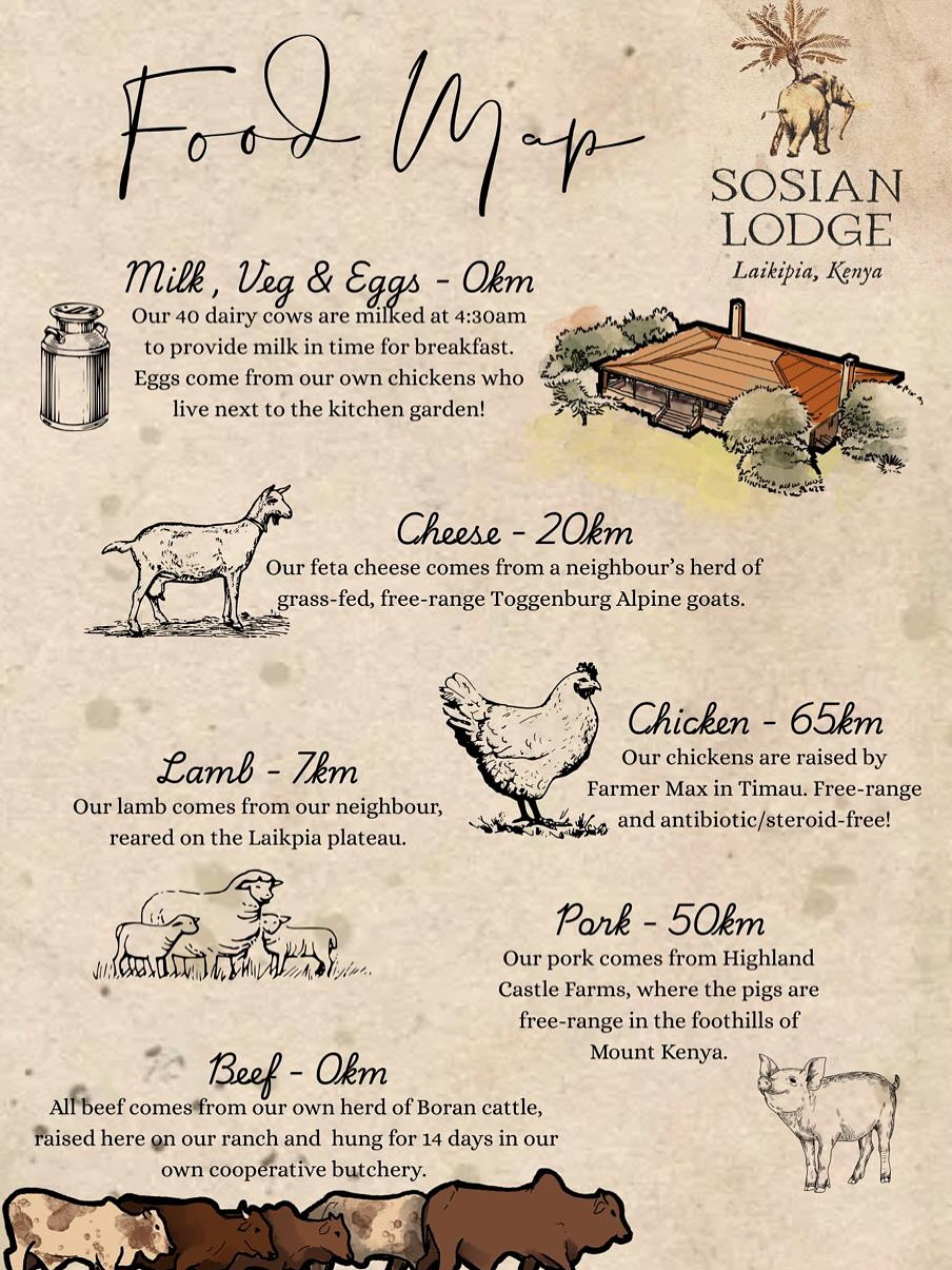 Essen auf Safari 
